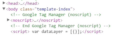 dataLayer after GTM container snippet