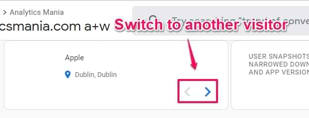 Change the visitor using the option in the picture