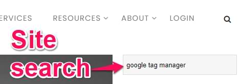 site search example